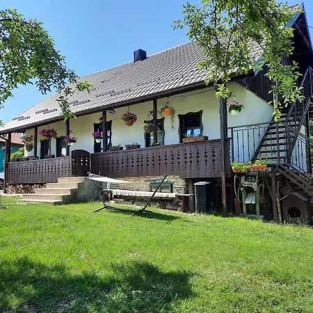 Casa Bunicilor Villa Ciprian Porumbescu Eksteriør billede