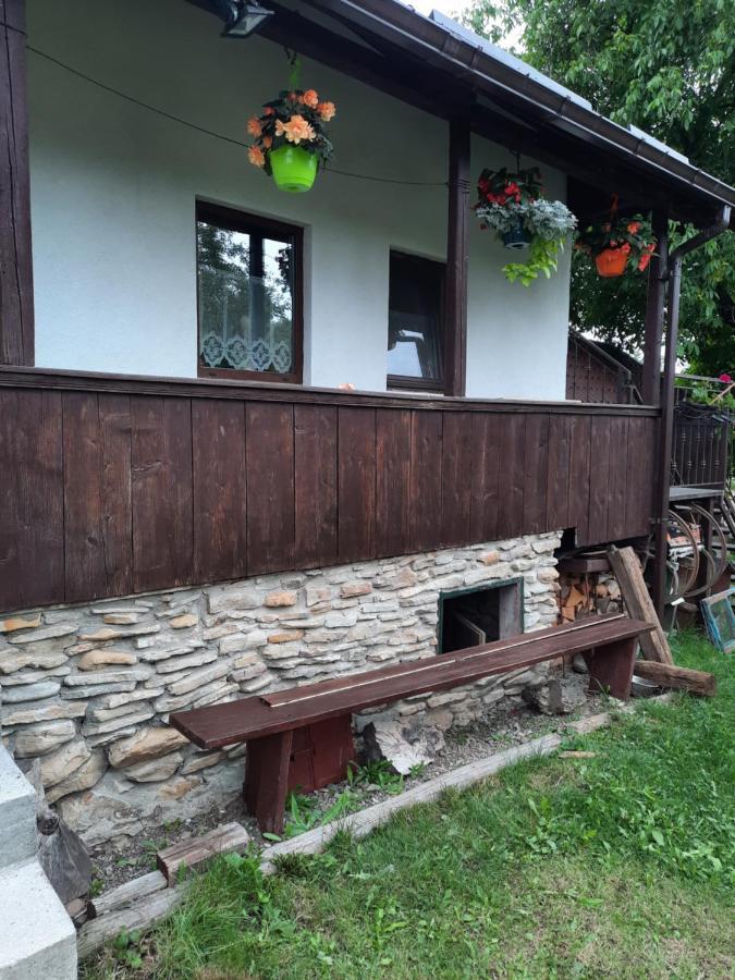 Casa Bunicilor Villa Ciprian Porumbescu Eksteriør billede