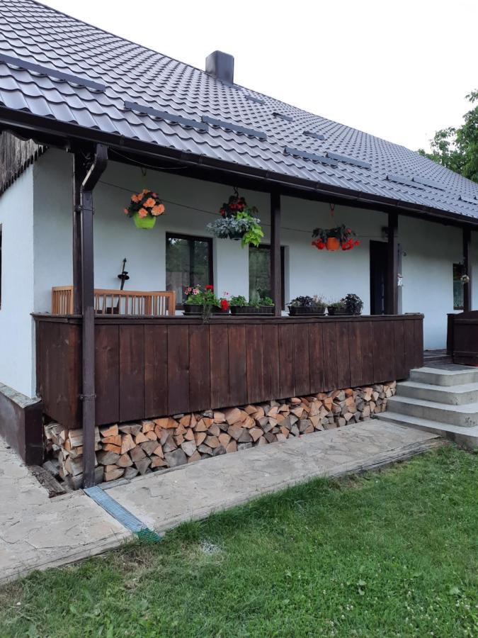 Casa Bunicilor Villa Ciprian Porumbescu Eksteriør billede