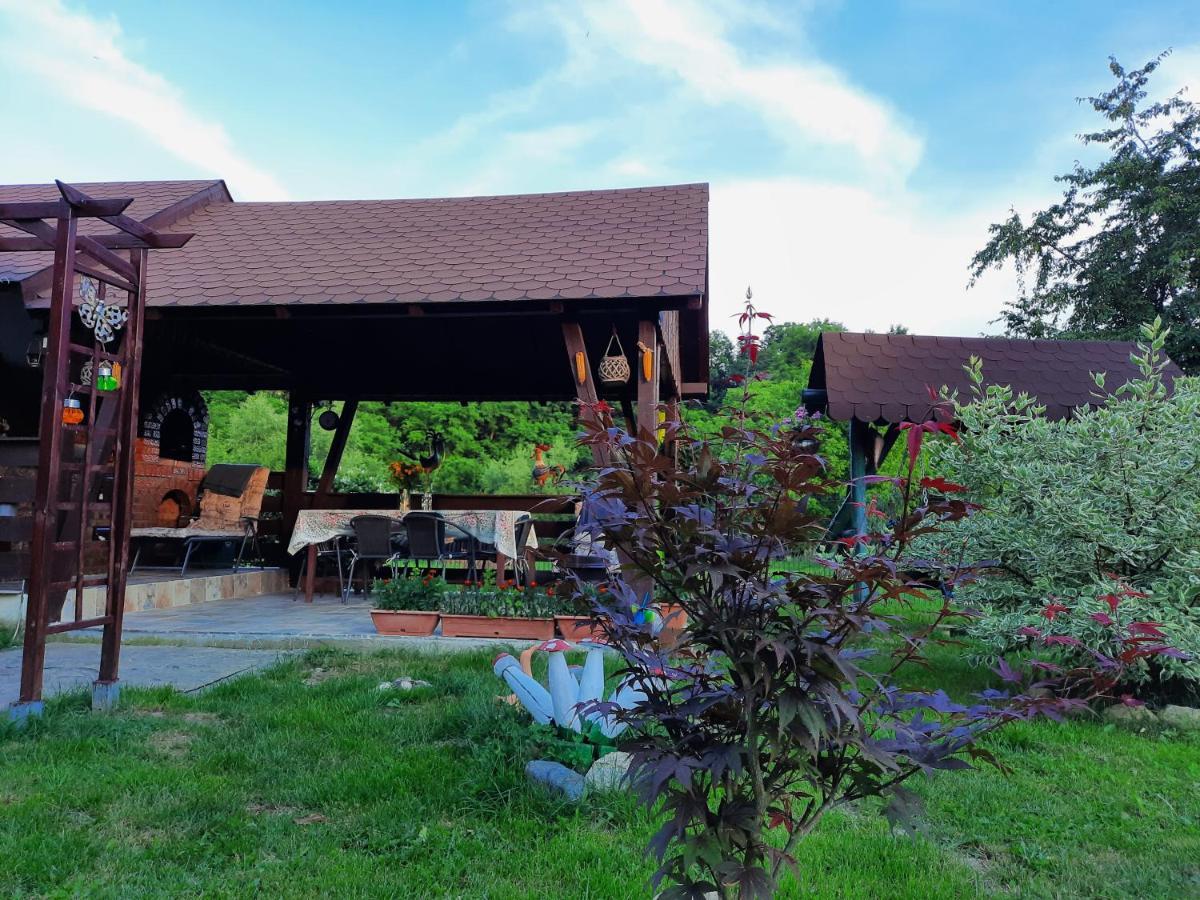 Casa Bunicilor Villa Ciprian Porumbescu Eksteriør billede
