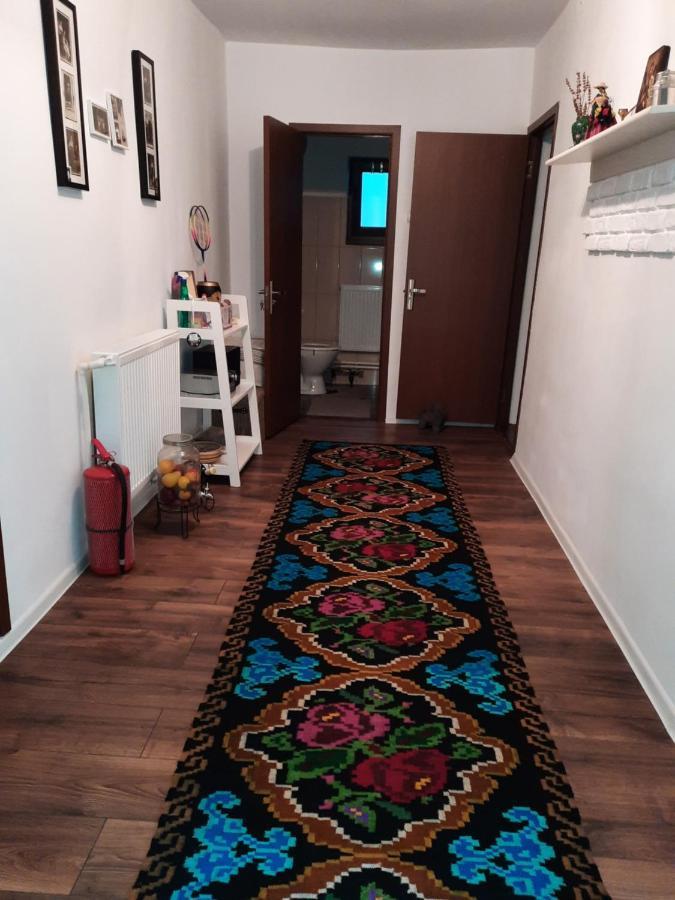 Casa Bunicilor Villa Ciprian Porumbescu Eksteriør billede