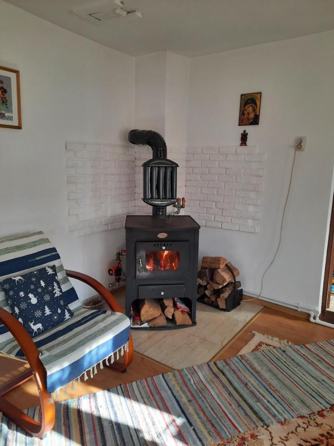Casa Bunicilor Villa Ciprian Porumbescu Eksteriør billede
