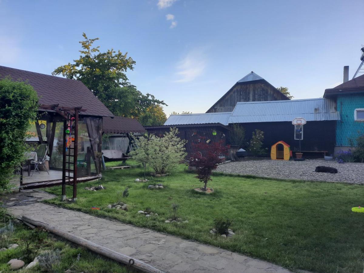 Casa Bunicilor Villa Ciprian Porumbescu Eksteriør billede
