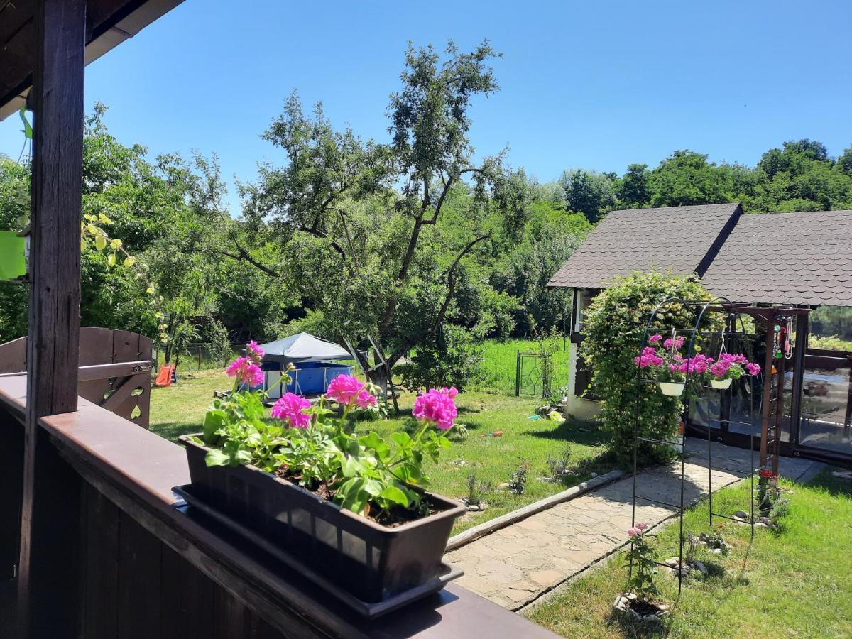 Casa Bunicilor Villa Ciprian Porumbescu Eksteriør billede