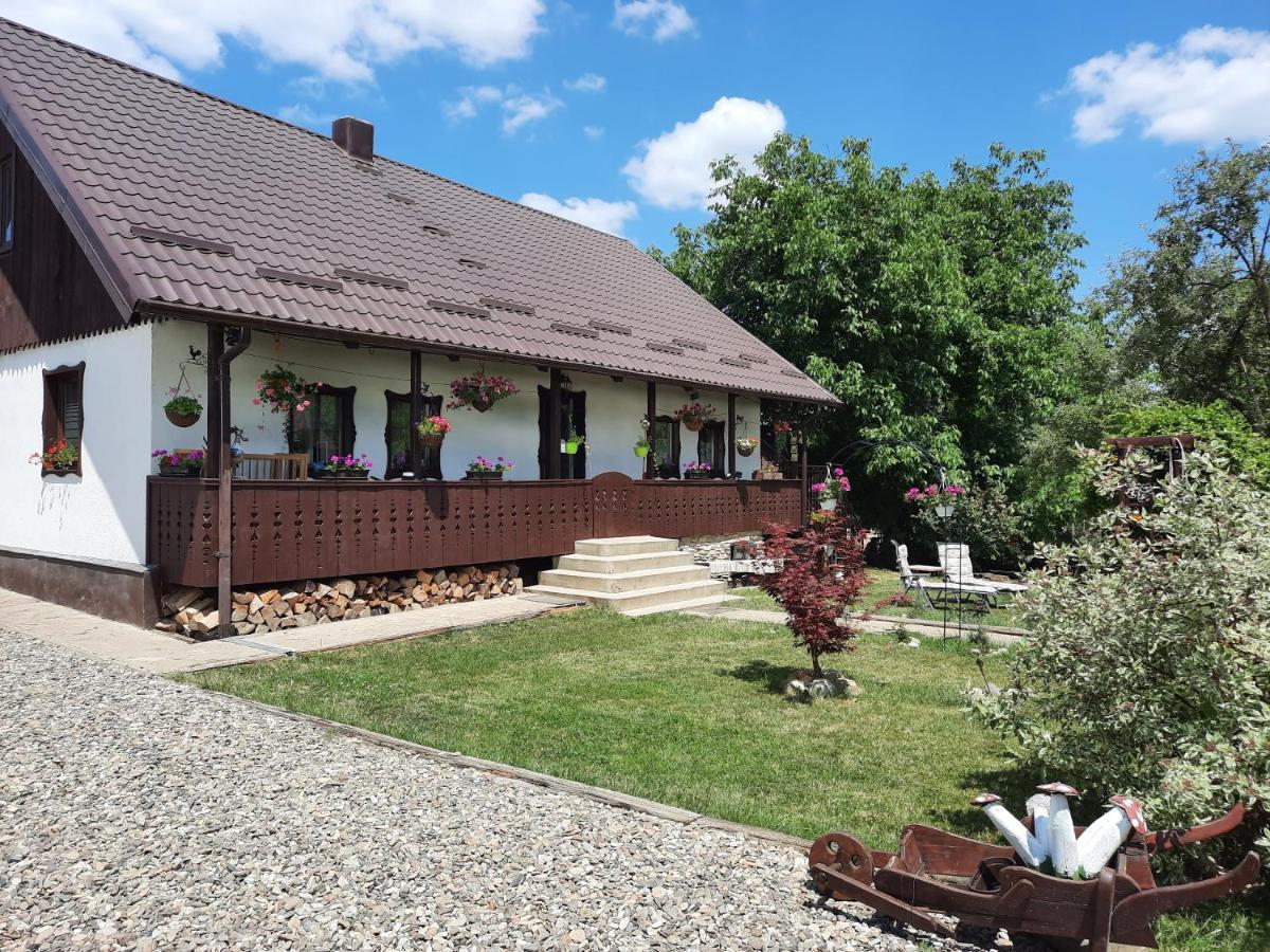 Casa Bunicilor Villa Ciprian Porumbescu Eksteriør billede