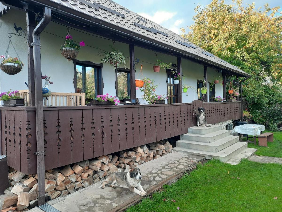 Casa Bunicilor Villa Ciprian Porumbescu Eksteriør billede
